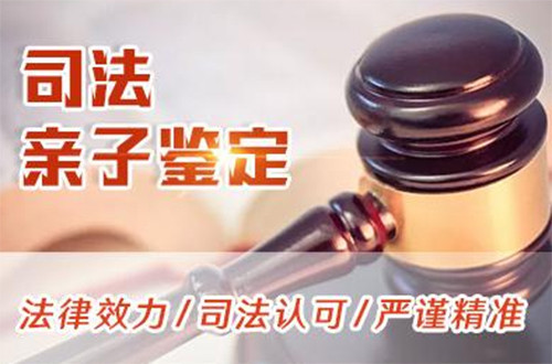 青海省司法DNA鉴定需要怎么办理,青海省司法DNA亲子鉴定资料和流程