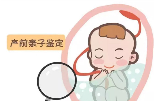 青海省怀孕六个月怎么做无创孕期亲子鉴定,青海省做无创怀孕亲子鉴定收费明细